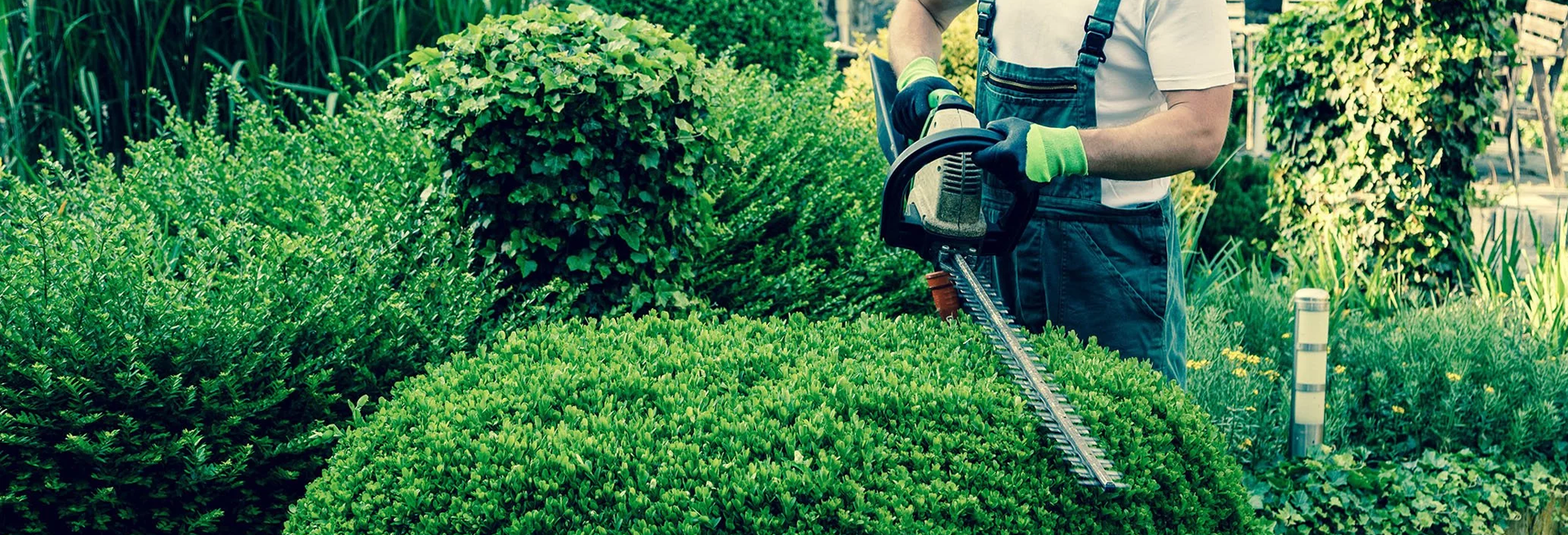 lawn care brisbane