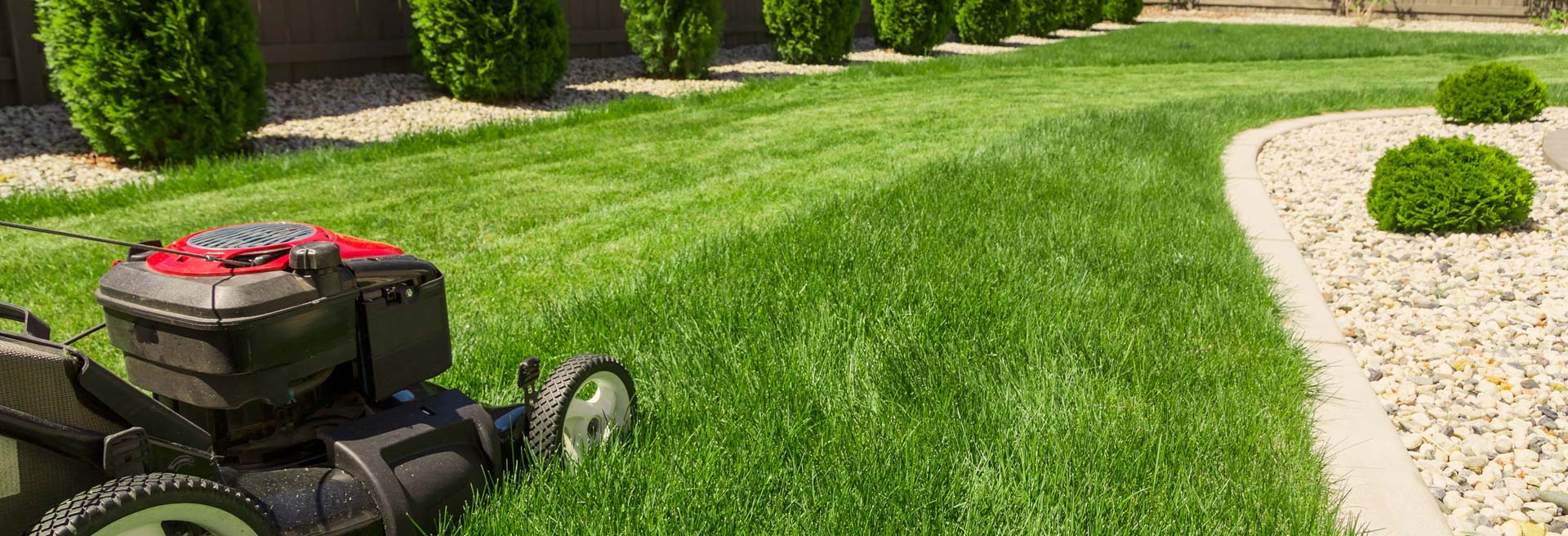 lawn mowing services Brisbane